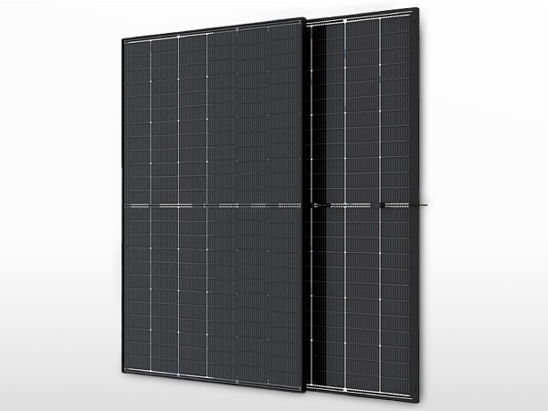 19 Bifaziales / Bi-Glas-Solarmodul TRINASOLAR monokristallines N-Typ i-TOPCon Vertex S+ | 440W – Bild 1