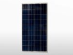 VICTRON polykristallines Solarpanel 270Wc - 20V